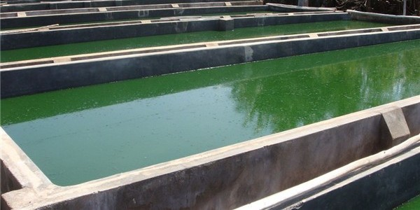 開敞式矩形混凝土消防水池蓄水池滲漏水維修的結(jié)構(gòu)特點(diǎn)